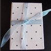 Light Blue Sheer Shimmery Corsage Ribbon (2 sizes)