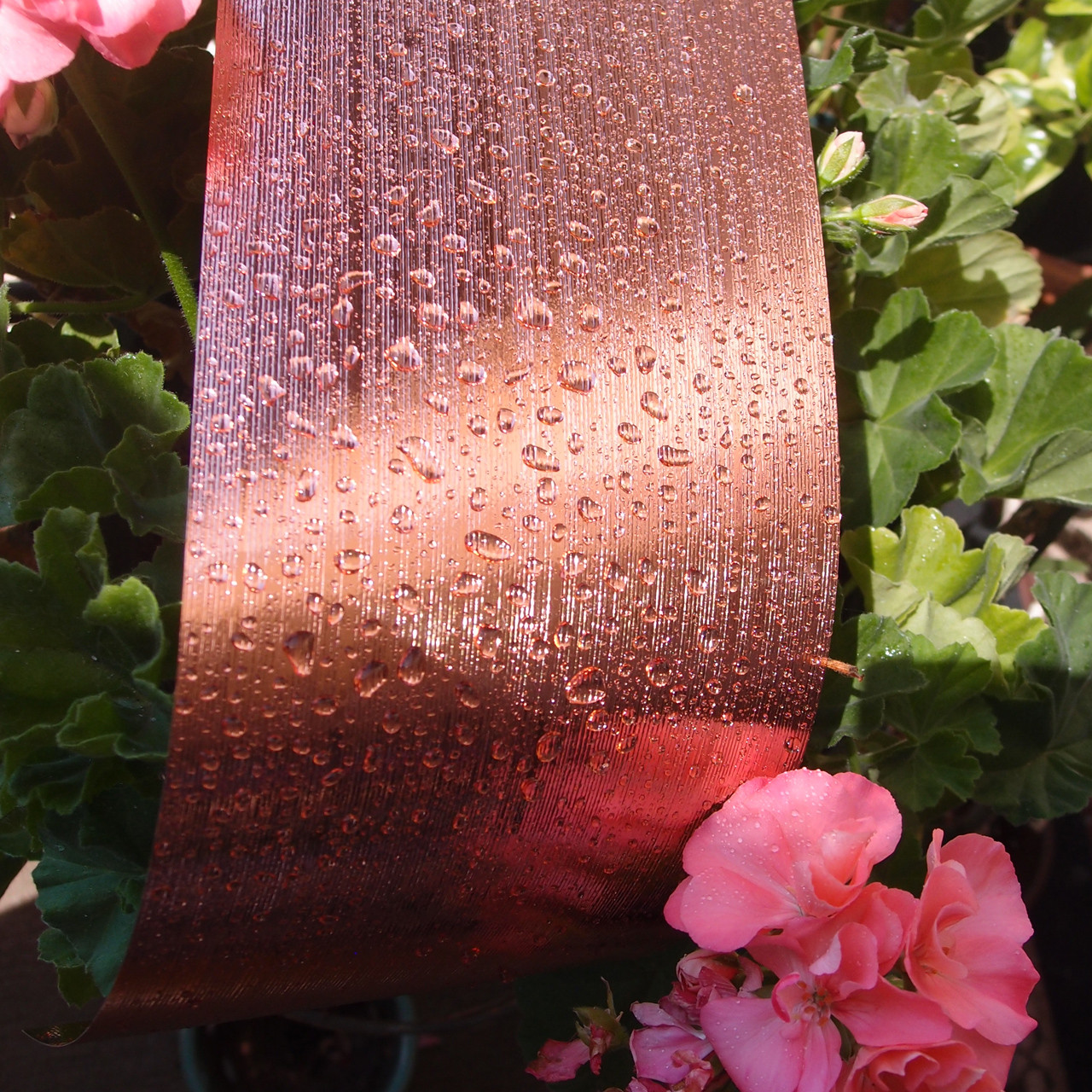 Rose Gold Metallic Aspidistra Leaf Waterproof Ribbon