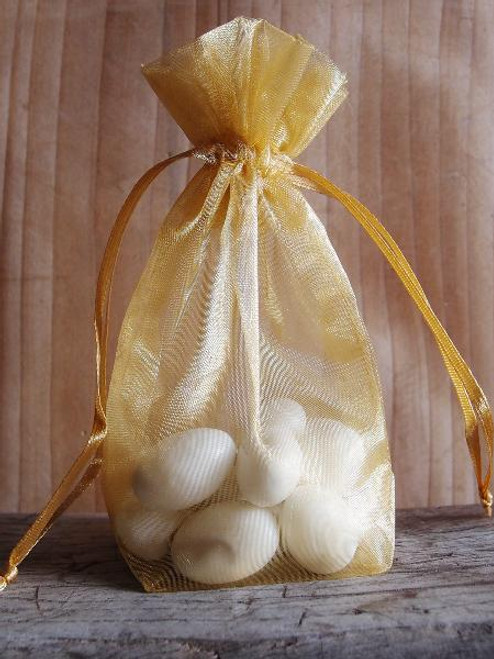 Gold Gusseted Sheer Bag with Satin Cord (3 sizes)