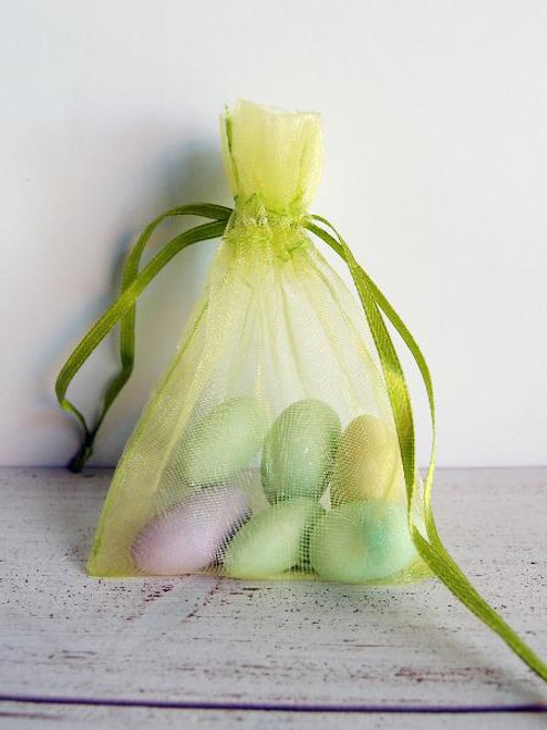 Mint Organza Bag with Ribbon String (9 sizes) Mint Organza Bag with Ribbon String (9 sizes)