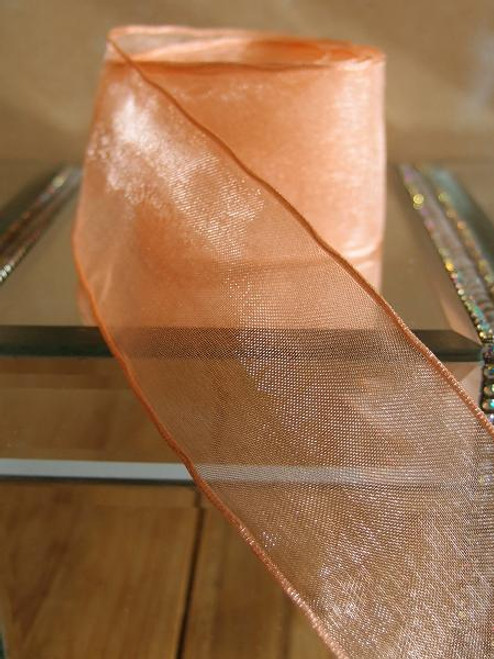 Ribbon - Sheer Organza Ribbon - Plain Sheer with Wired Edge 