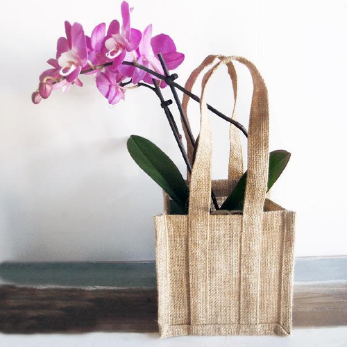 Natural Jute Plant Tote Bag 6 1/2" x 6 1/2" x 14"