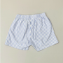 A picture of white/blue striped shorts.
