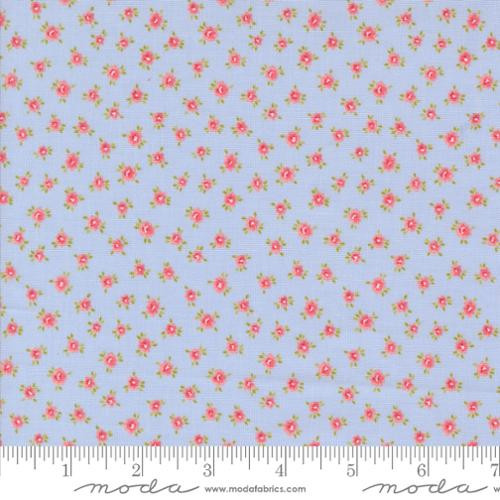 Memory Lane Sky Posies by Brenda Riddle for Moda