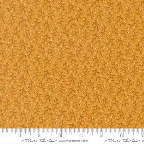 Pamelias Path - Cheddar