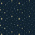 Silent Night - Gold Stars