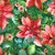 Winter Holiday Poinsettias 