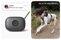 Image of the Life360 Pet GPS - Black being charged and getting the fully charged alert