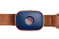 Image of Life360 Pet GPS - Navy Blaze on a brown collar