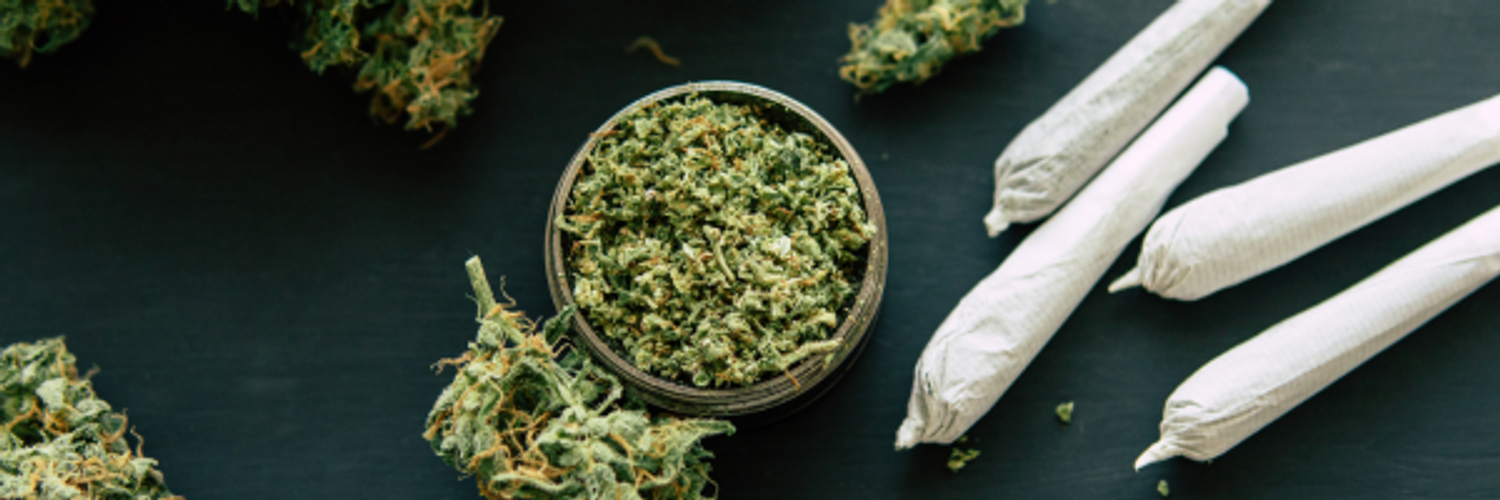 Sensi Shredder PRO: The Shredder Built for Cannabis Processors