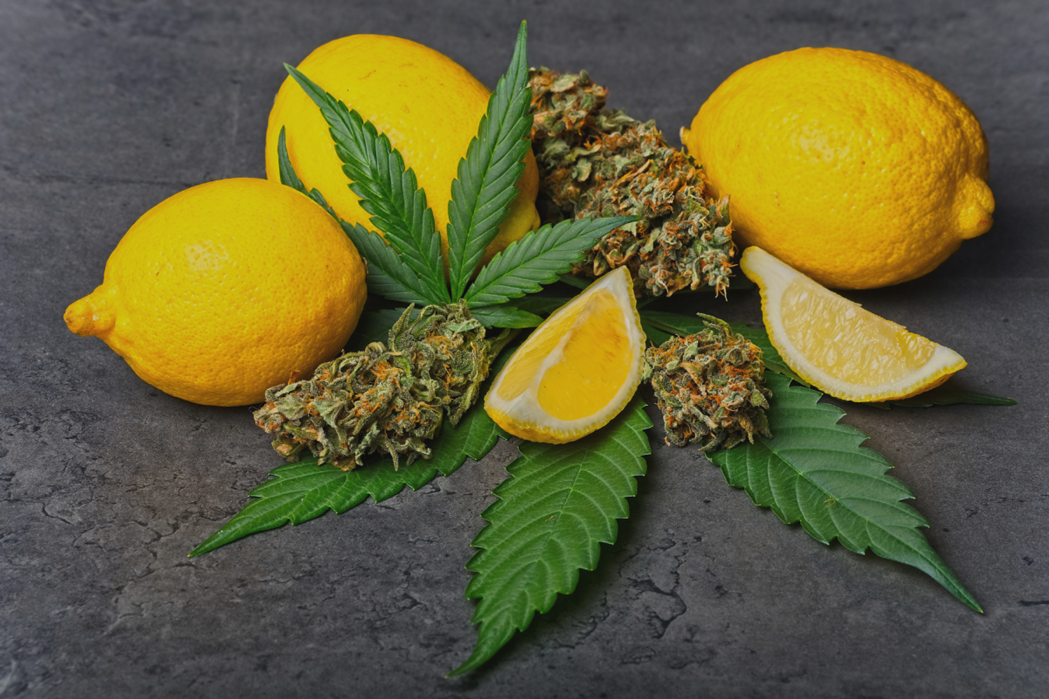 Why Does Cannabis Produce Terpenes?