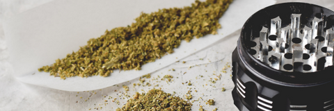 How Commercial Herb Shredders get the Perfect Particle Size Every Time!