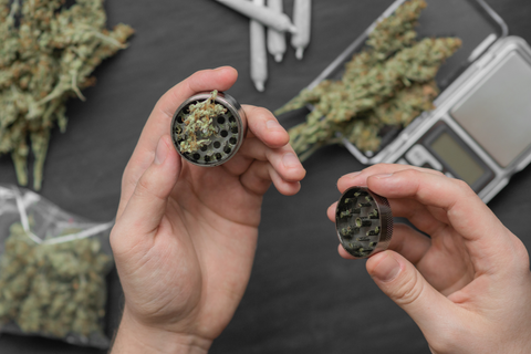 Commercial Cannabis Shredding: Are Cannabis and Hemp Different?