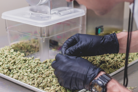 Does a Commercial Cannabis Shredder Make a Difference?
