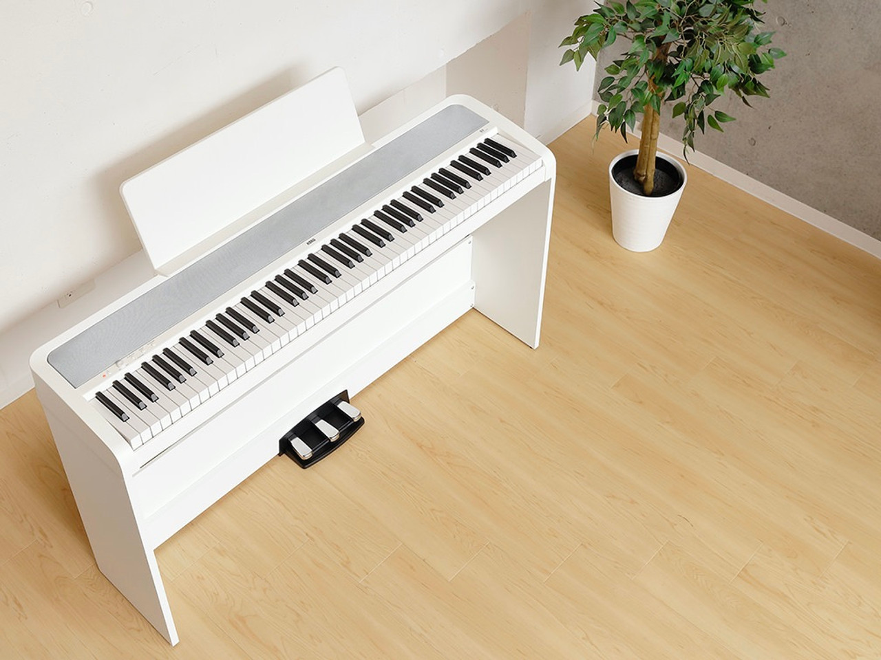 New KORG B2SP 88 Key Digital Piano - The Original Frank and