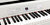 NEW Korg GB1 Air Digital Piano