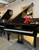 C. Bechstein 6'8" Model 208 Handcrafted Professional Grand Piano