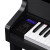 Casio Celviano GP-310BK Hybrid Piano in  Collaboration with  C. Bechstein