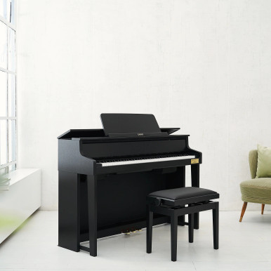 CASIO CELVIANO グランドハイブリット GP-310BK 21年製 GP-310BK | CELVIANO | CASIO