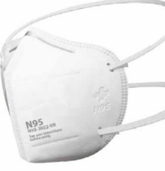 1 x N95 Face Mask