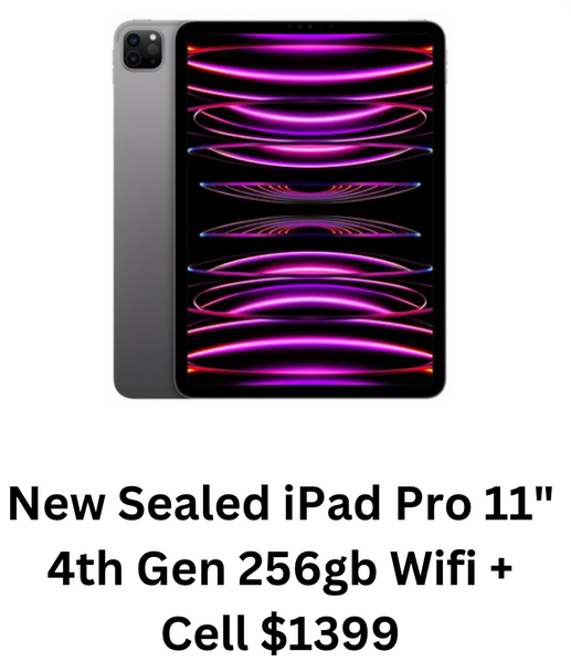 iPad Pro 11" 4th Gen 256gb Wifi + Cell
