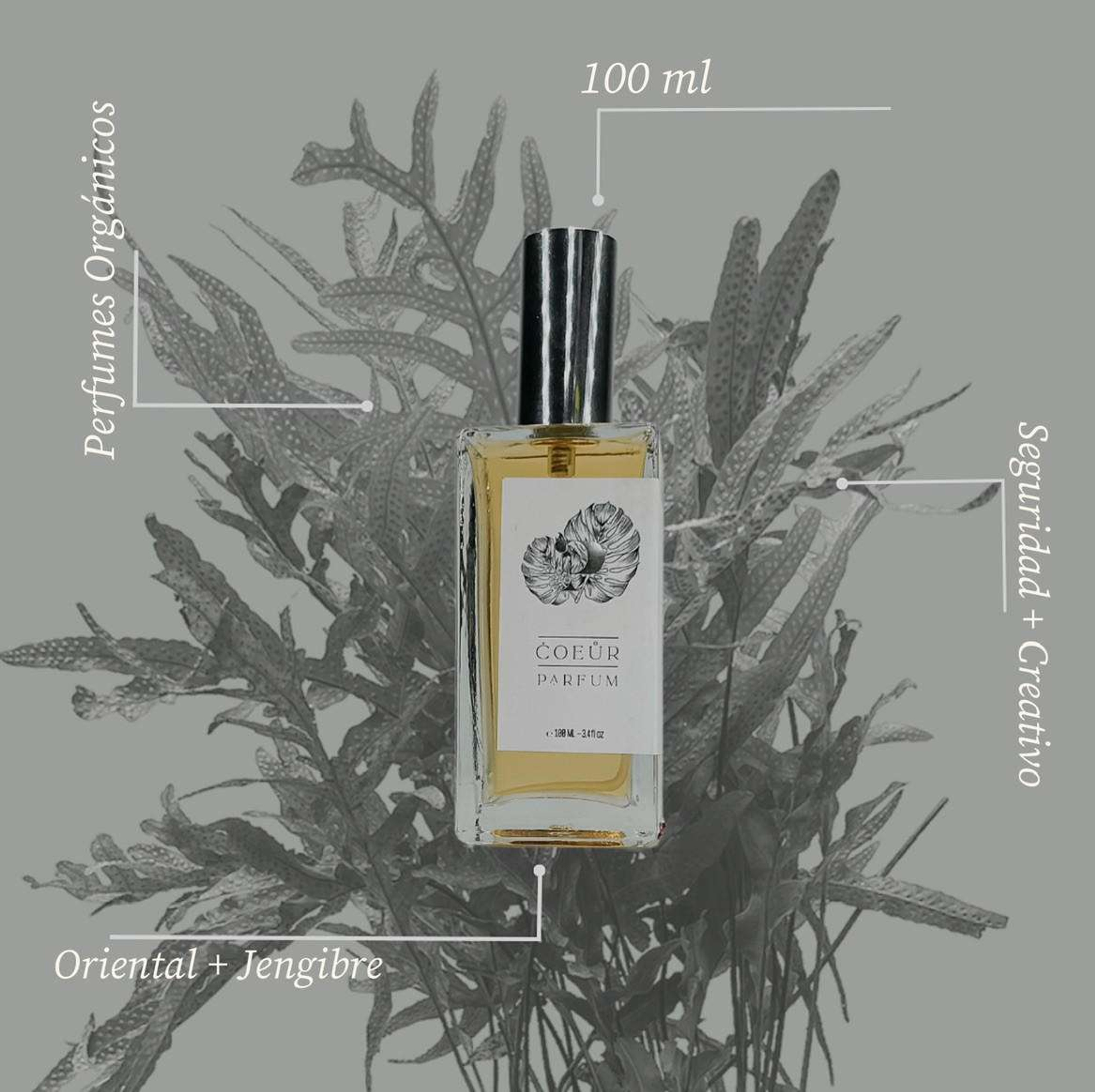 Perfumes Mxplantae Shop All mxplantae