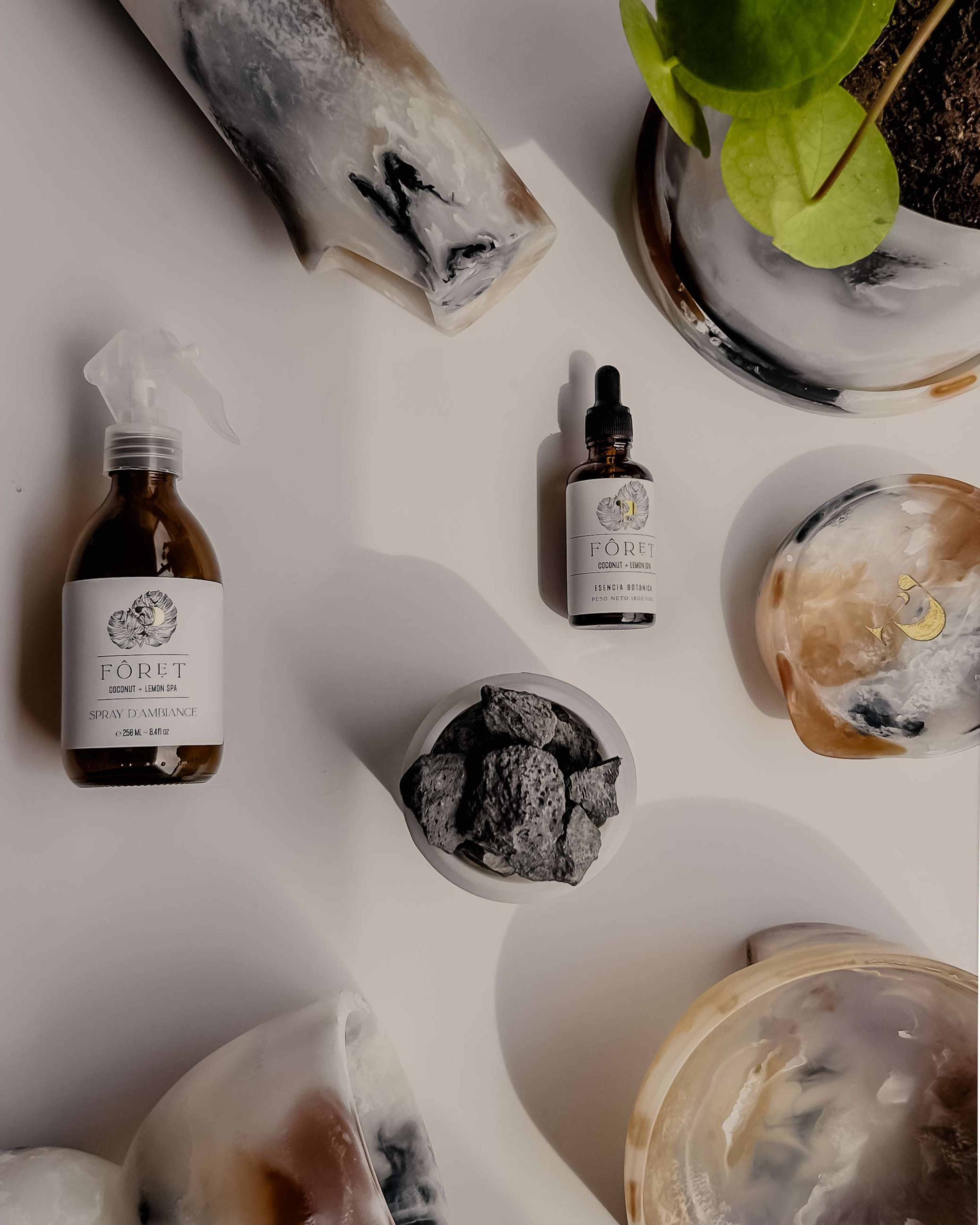 Kit Plantae | Home Decor Plant Shop mxplantae
