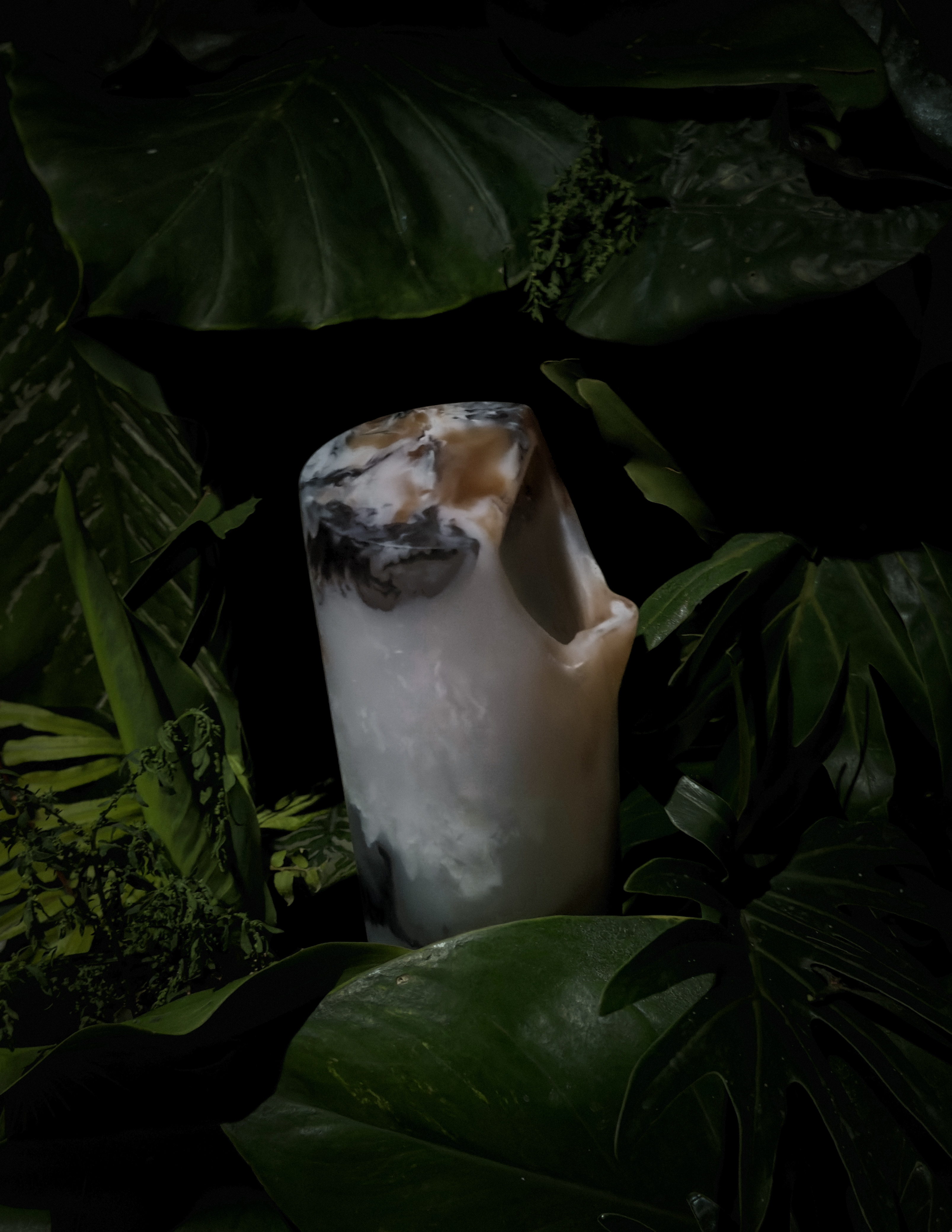 Regadera para plantas y jarra de agua MXPlantae