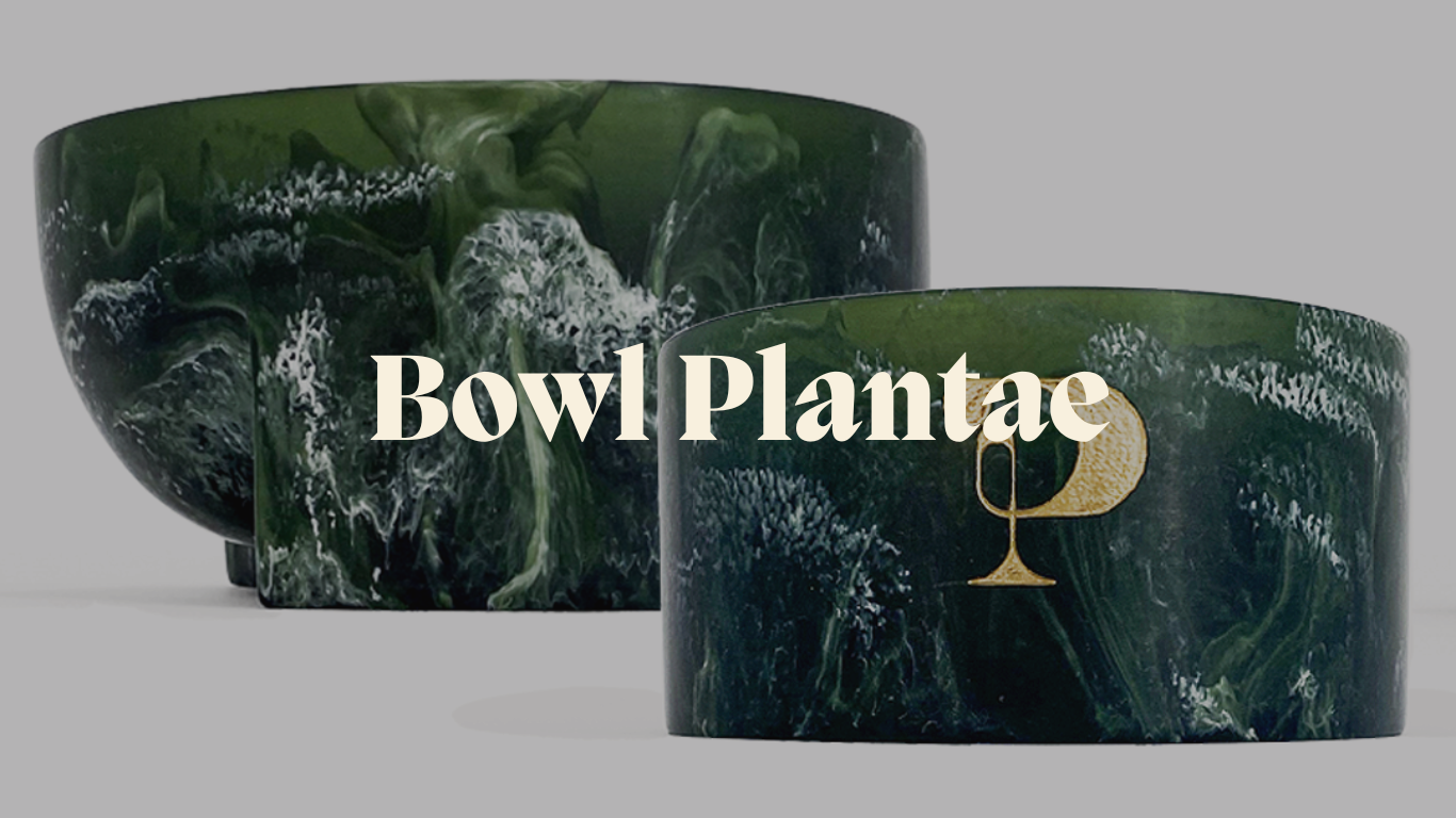 MXPLANTAE Bowl Multiusos Hecho de Resina Reciclada