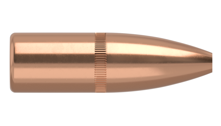 NOSLER .22 CAL (.224") 62GR FBHP VARMAGEDDON | 100 PACK