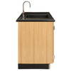 Diversified 3303 Kinetic Clean-Up Sink