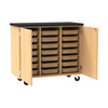 Diversified 4751 Access Touchdown Tote Cabinet