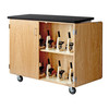 Diversified 4701 PerpetuLab Worksurface Standard Microscope Cabinet
**Microscopes Not Included**