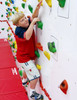 High Discovery Dry Erase Wall 8x4 Package - Everlast Climbing ECDISCDE4PKG2MATS