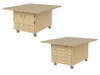 Hann AWS-3332U-C Butcher Block Art and Printmaking Workstation with Cupboard and Drawers
**Casters Sold Separately**