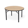 Southern Aluminum D48RFVIF IDesign Round Table with Individual Folding Legs 48 Inch