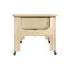 Deluxe Sand & Water Table with Lid - Wood Designs WD11865TN