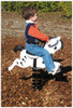 Spring Rider - SportsPlay