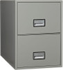 Phoenix Safe International LTR2W25 World Class Fire and Impact Resistant Vertical File 16 W x 25 D x 28 H