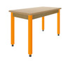 Carrot / Glides
PerpetuLab Steel Leg Science Table with Plain Apron – ShopTop
Diversified