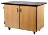 Mobile Science Cabinet Chem-Res Top with Microscope Dividers - National Public Seating MSC05