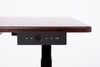 Electric Stand Up Desk - Luxor