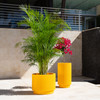 Session Series Ripple Planters - Tenjam R-PLANTER