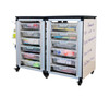 Modular Classroom Storage Cabinet Two Side by Side Modules with 12 Small Bins - Luxor MBS-STR-21-12S