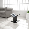 ZIN Magazine Rack - Magnuson ZIN-10