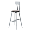 Titan High Pressure Laminate Seat Stool - NPS TTSG **24"H - Adjustable Height with Optional backrest**