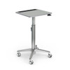 A&D Crossfit Motion Sit-to-Stand Rectangle Adjustable Height Desk - Paragon CFMOTION2224R