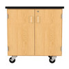 Diversified 4402 Access ChemGuard Touchdown Cabinet