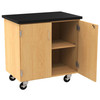 Diversified 4402 Access ChemGuard Touchdown Cabinet