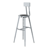 Titan Steel Seat Adjustable Height Stool - NPS TTSG **24"H - With Optional Backrest**